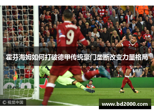 霍芬海姆如何打破德甲传统豪门垄断改变力量格局