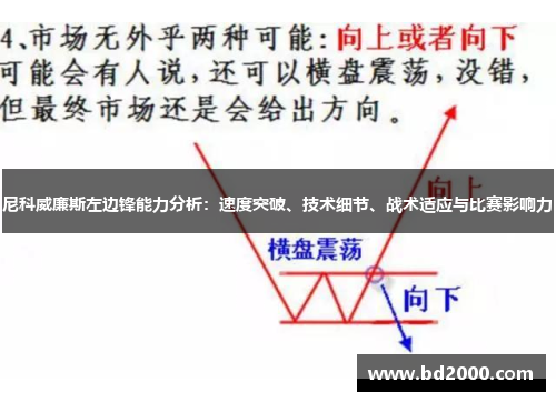 尼科威廉斯左边锋能力分析：速度突破、技术细节、战术适应与比赛影响力