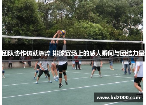 团队协作铸就辉煌 排球赛场上的感人瞬间与团结力量