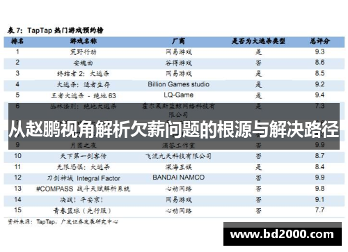 从赵鹏视角解析欠薪问题的根源与解决路径