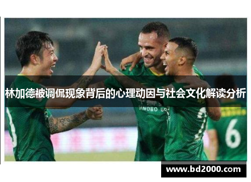 林加德被调侃现象背后的心理动因与社会文化解读分析