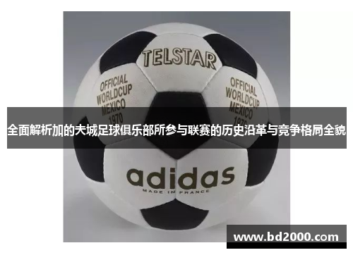 全面解析加的夫城足球俱乐部所参与联赛的历史沿革与竞争格局全貌