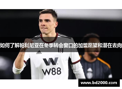 如何了解帕利尼亚在冬季转会窗口的加盟愿望和潜在去向